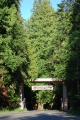 Exploring Rainier